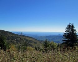 Another Mount Mitchell view