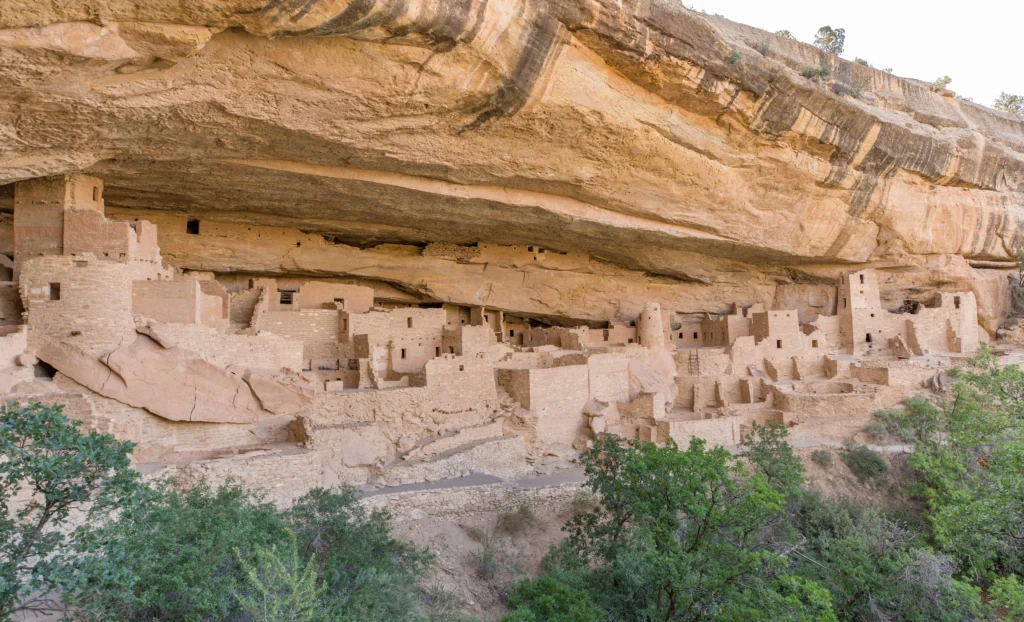 Cliff Palace Cave Dwelling in Mesa Verde National Park