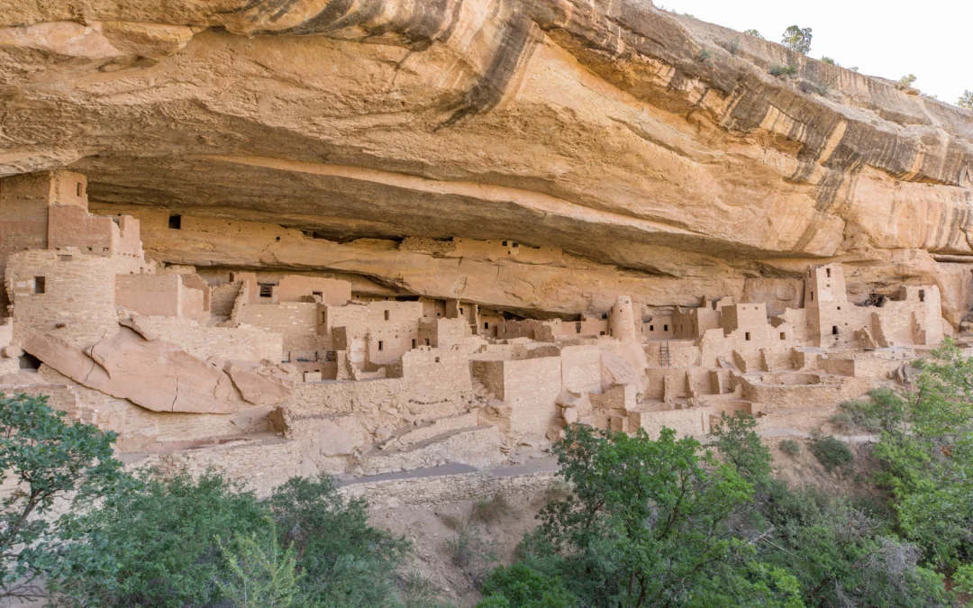 Cliff Palace Cave Dwelling Tour – Mesa Verde National Park