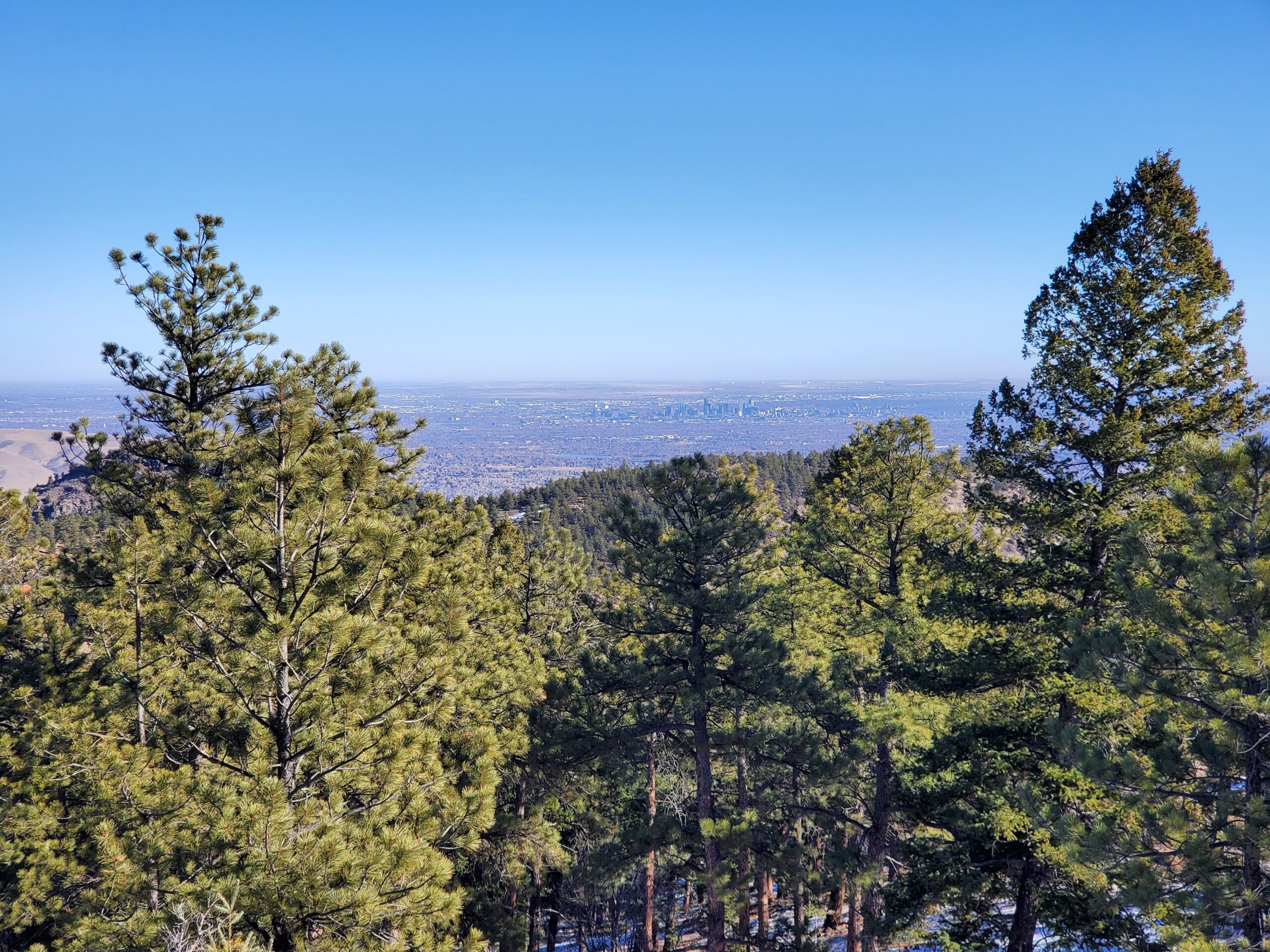 Mount Falcon View