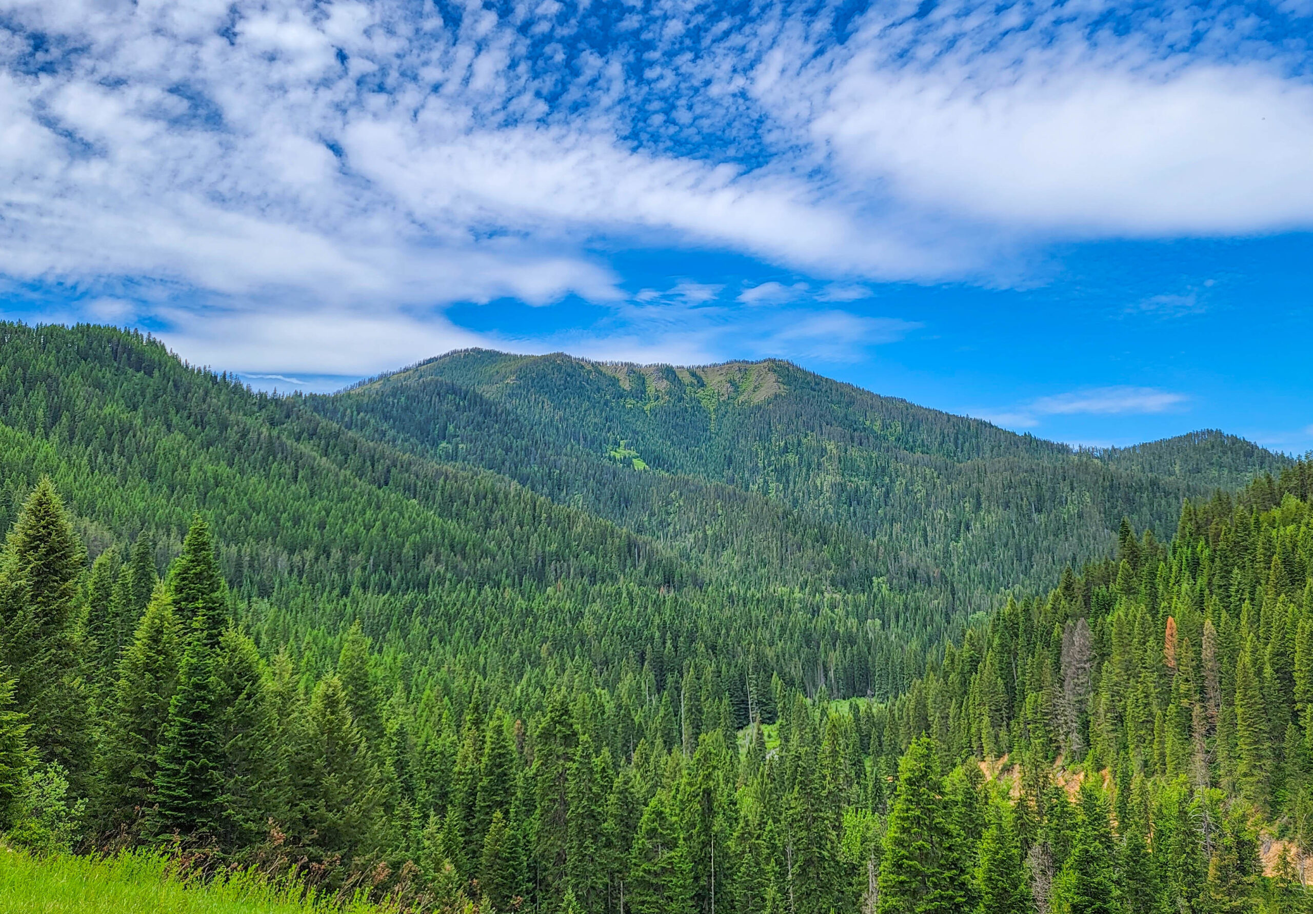 View from Route of the Hiawatha