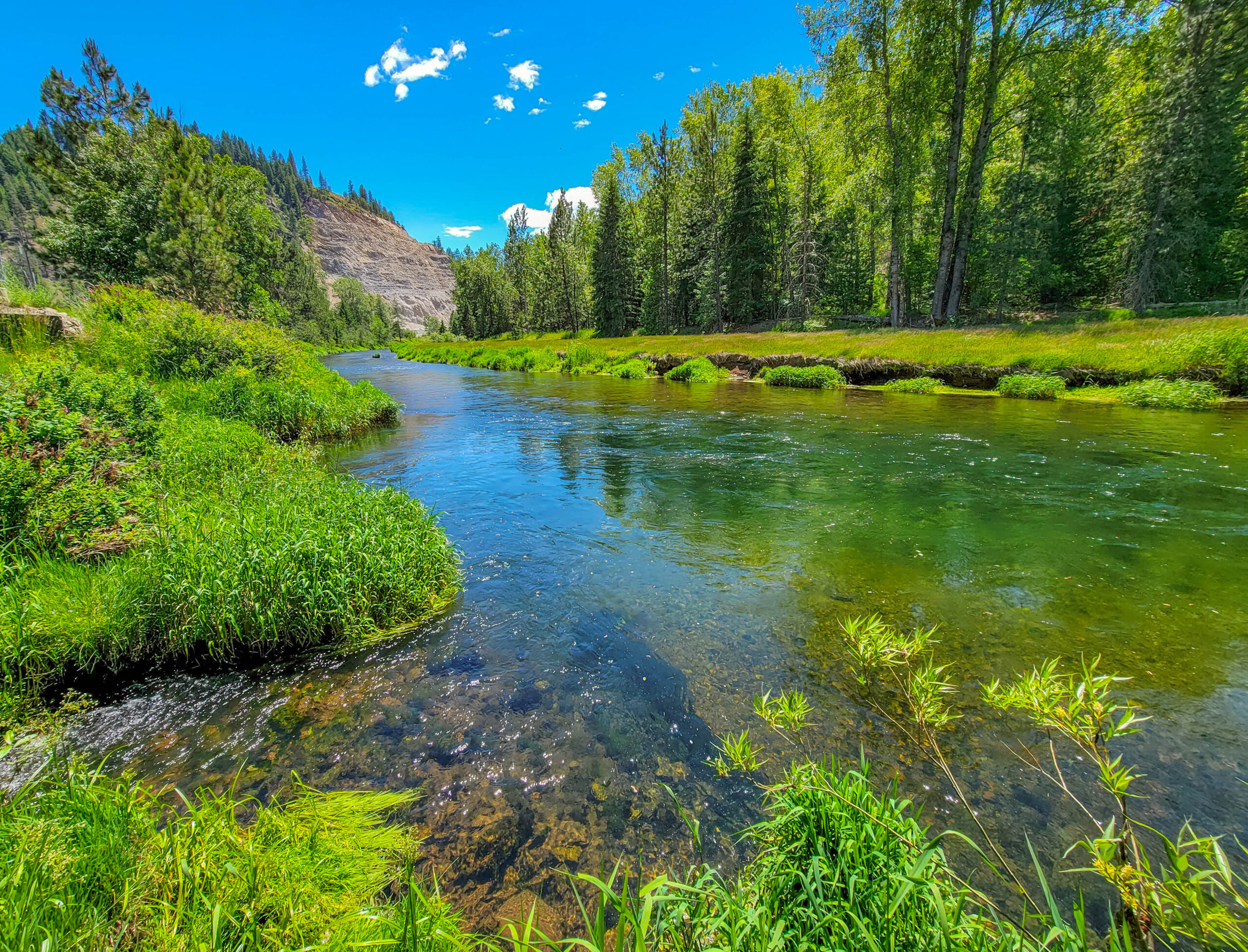 Scenery on Trail of the Coeur d'Alenes