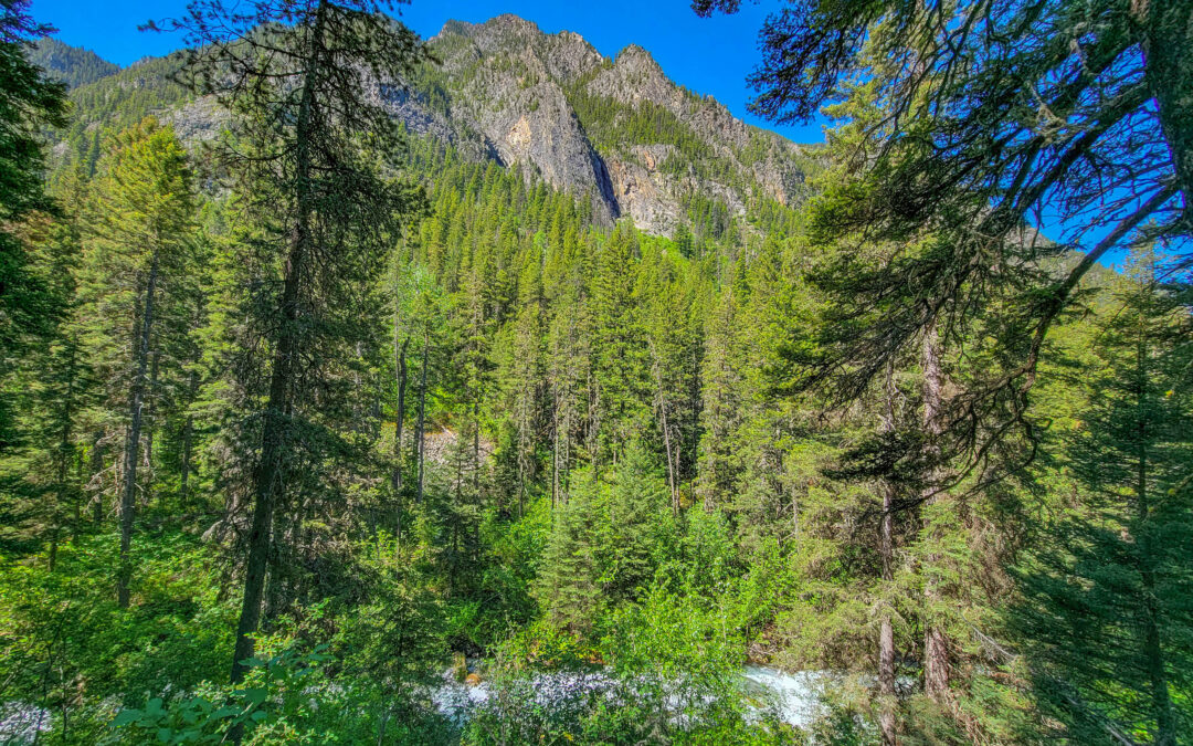 Fun Short Waterfall Hike – Pine Creek Falls Livingston MT