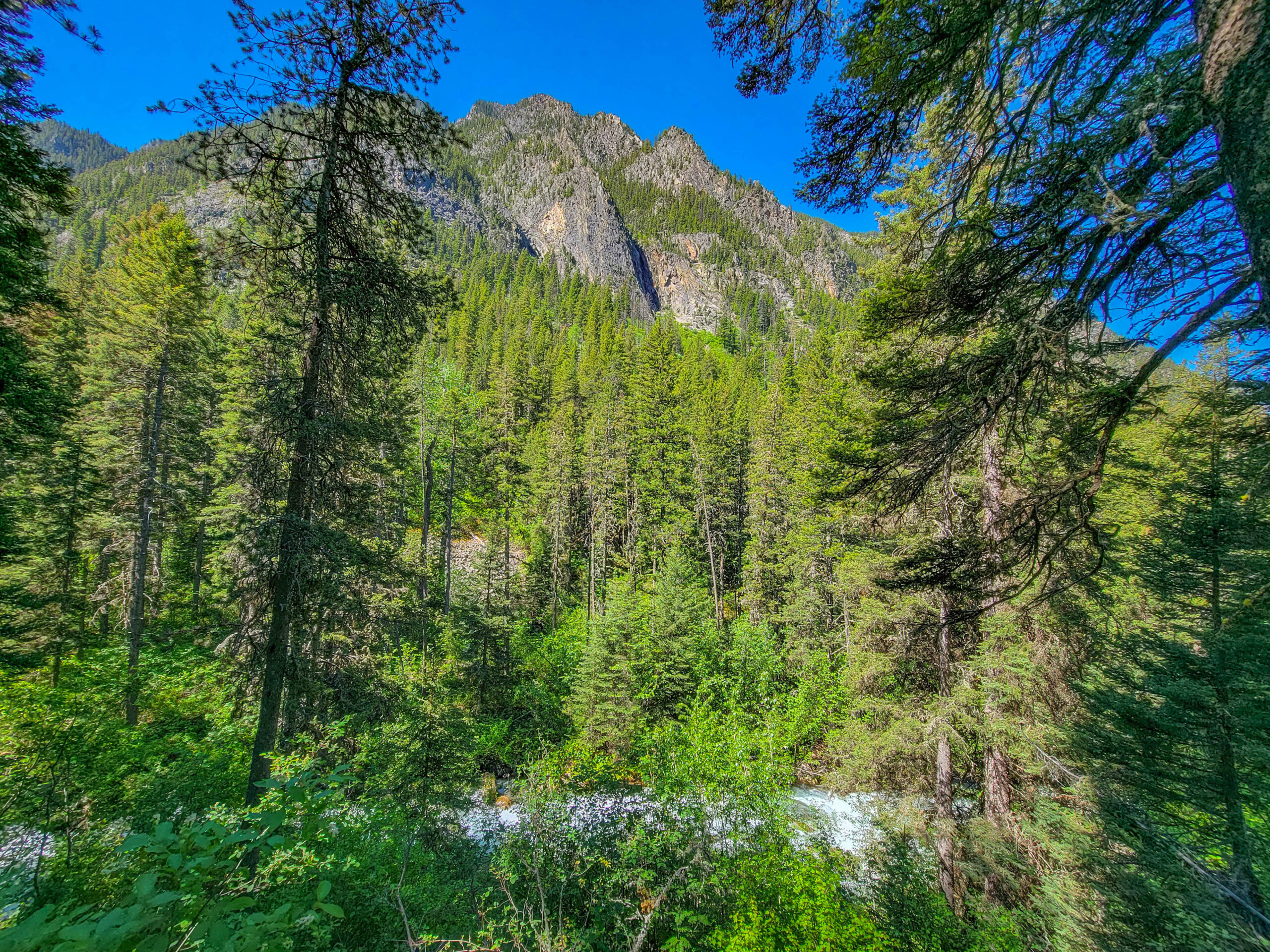 View of Absarokas from Pine Creek