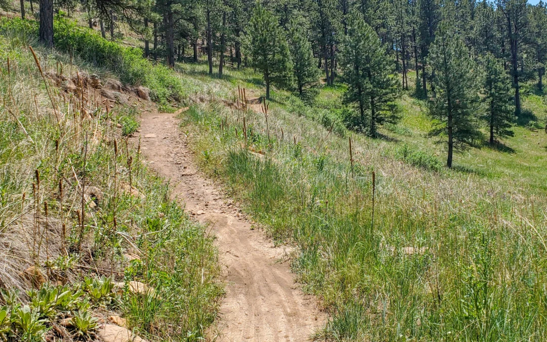 Mountain Biking M Hill – Hanson-Larsen Park, Rapid City SD