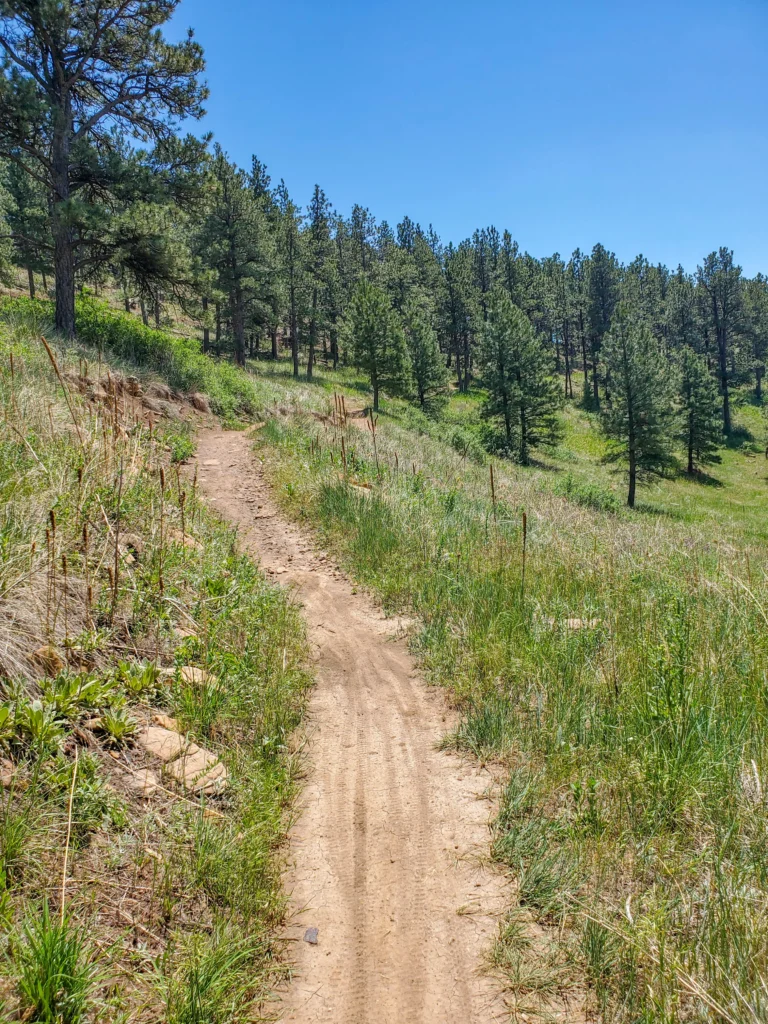 M Hill trail in Hanson-Larsen Memorial Park