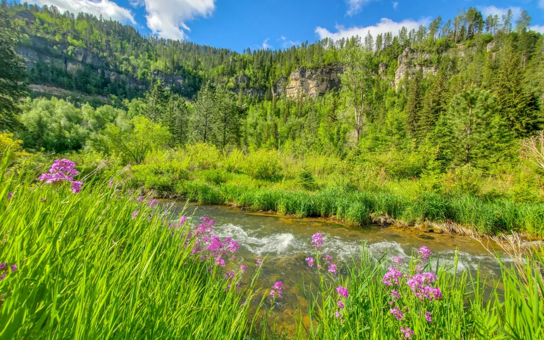 Spearfish Canyon Scenic Byway – Black Hills, SD