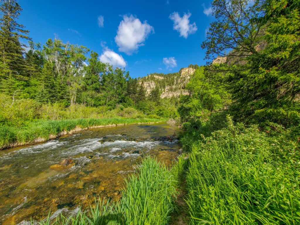 Spearfish Creek just begging for some fly fishermen