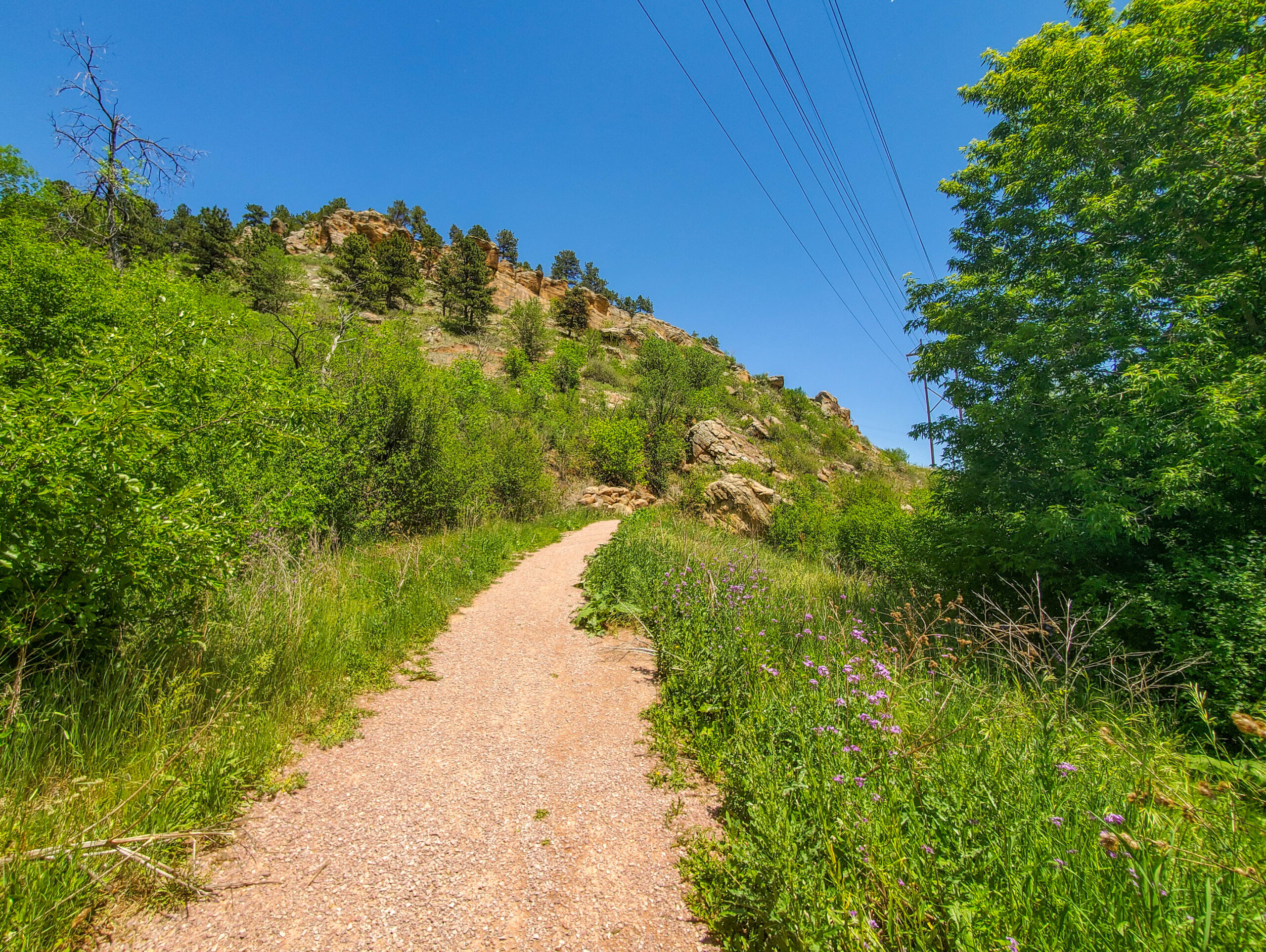 Hanson-Larsen Memorial Park scenery