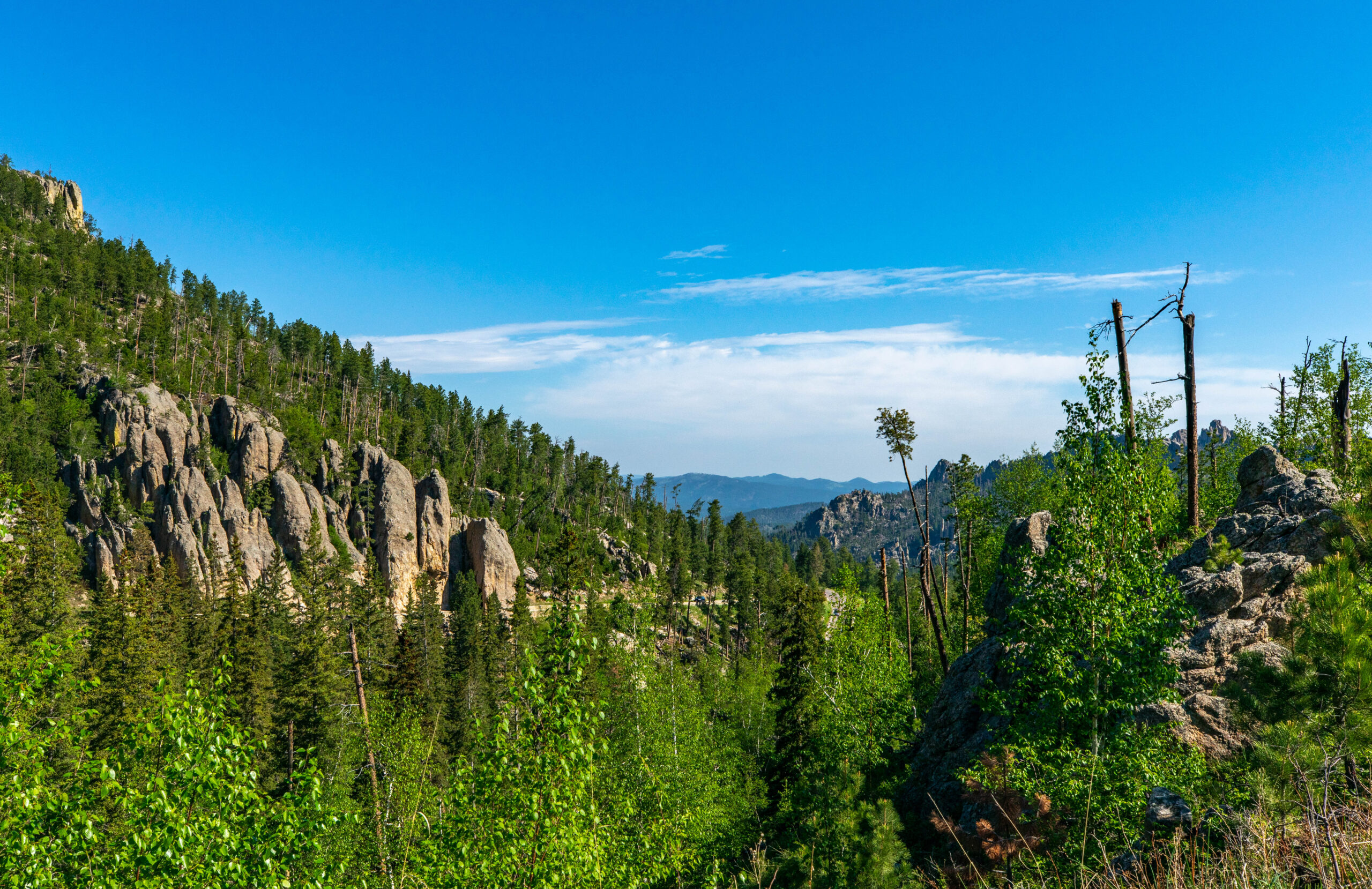 View from Needles Highway overlook