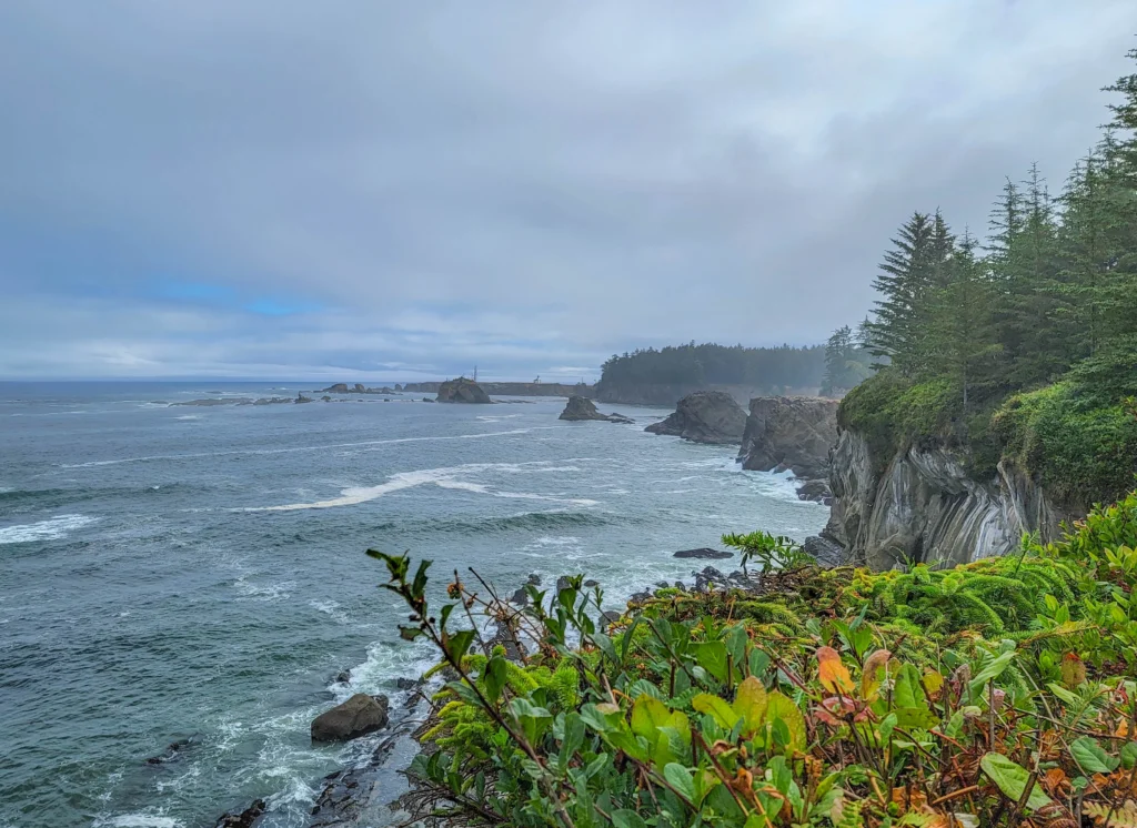 Coastline seen from the bluff along the Cape Arago Scenic Loop