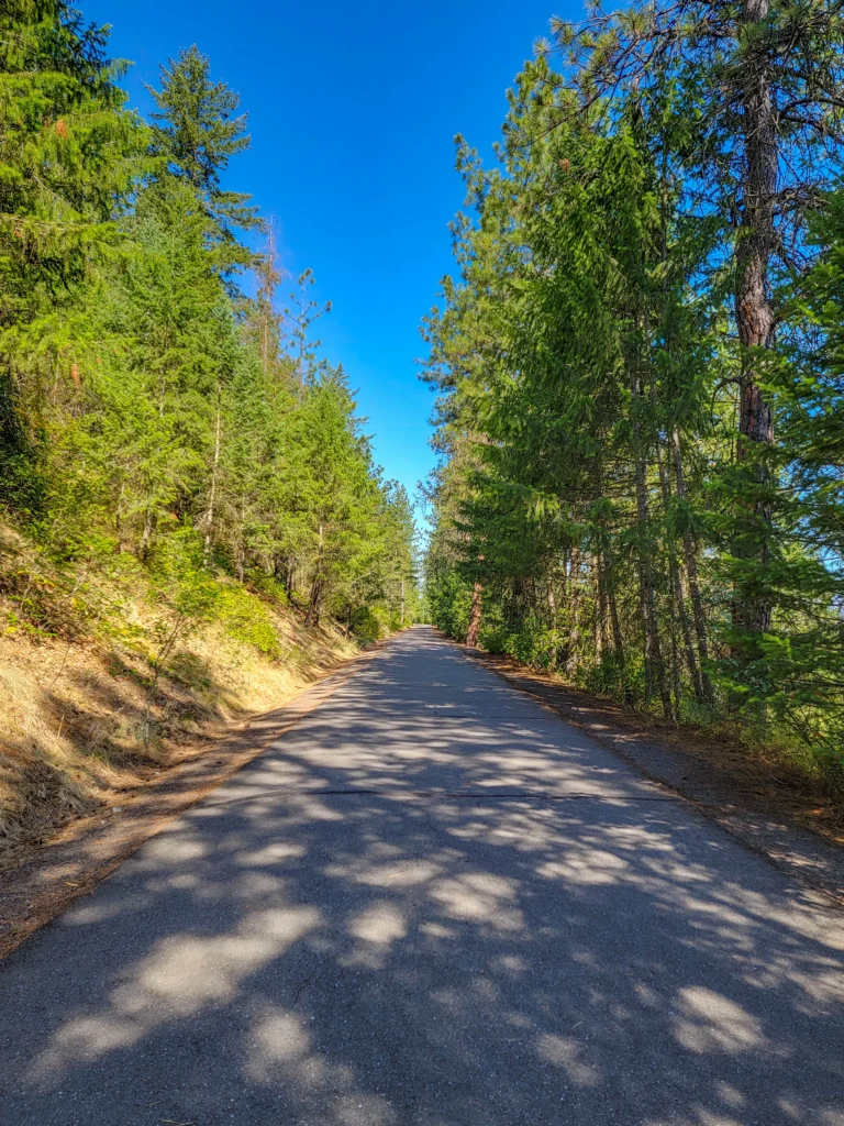 Paved Centennial Trail climbing through ponderosa pine in Riverside State Park