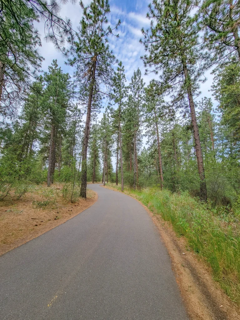 Paved Centennial Trail through ponderosa pine on the eastern section