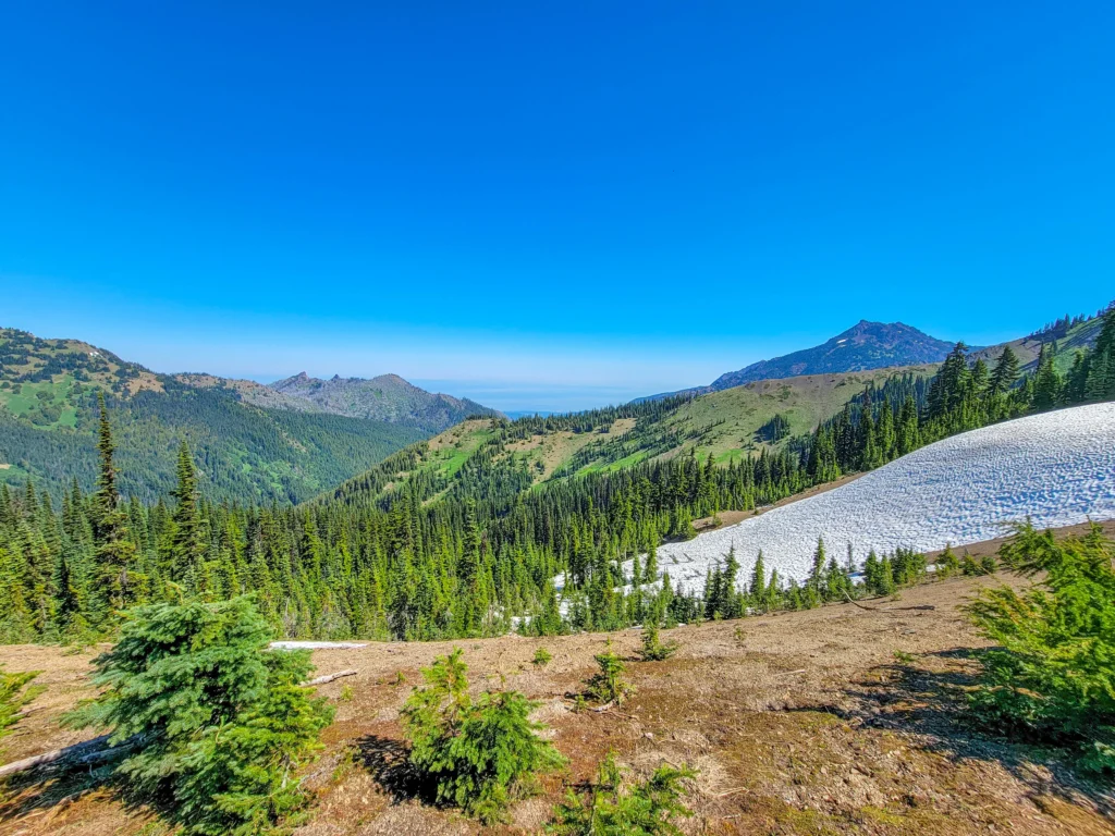 Alpine meadow and lingering snowfield at Hurricane Ridge with the Strait of Juan de Fuca beyond