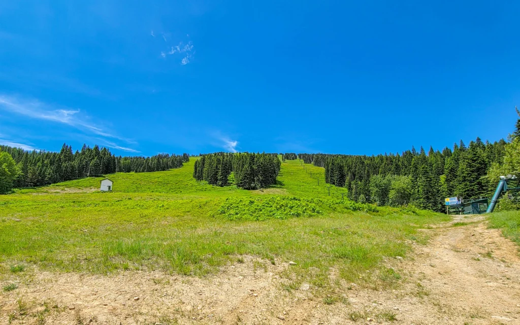 Ski run in summer at Mt. Spokane, green under a blue sky