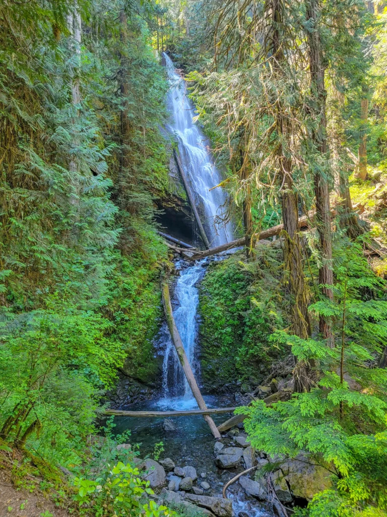 Murhut Falls dropping in two tiers through old-growth forest