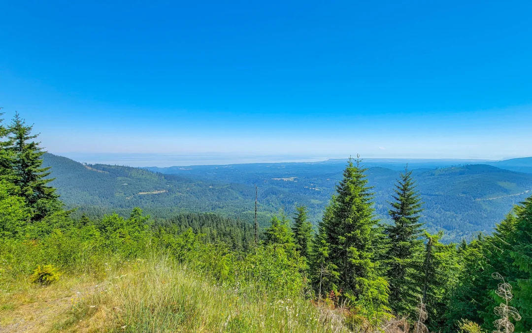 Olympic Peninsula Guide – Washington