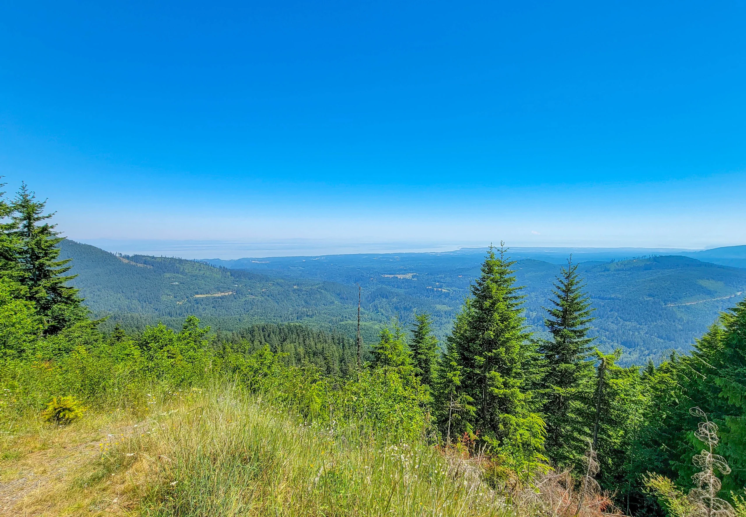 Forested foothills falling away to the Strait of Juan de Fuca from the Hurricane Ridge Road, Olympic Peninsula, Washington
