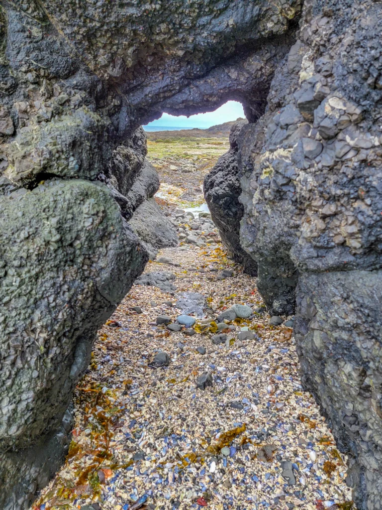 Rock arch above a shell-covered channel at Salt Creek