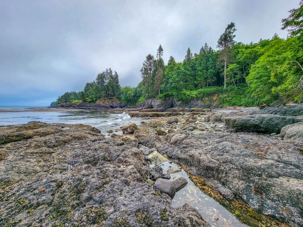 Salt Creek shoreline with forest above the Strait of Juan de Fuca