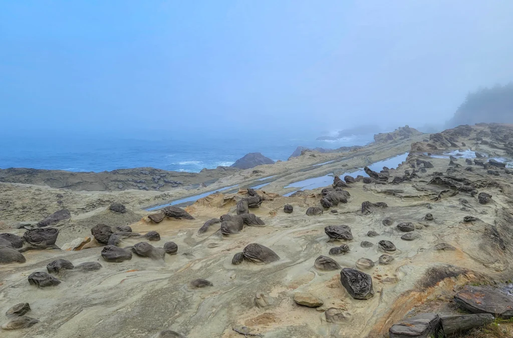 Fog moving over the concretion-studded sandstone shelf at Shore Acres State Park