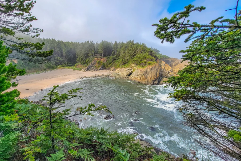 Fog in a cove below the cliffs at Shore Acres State Park