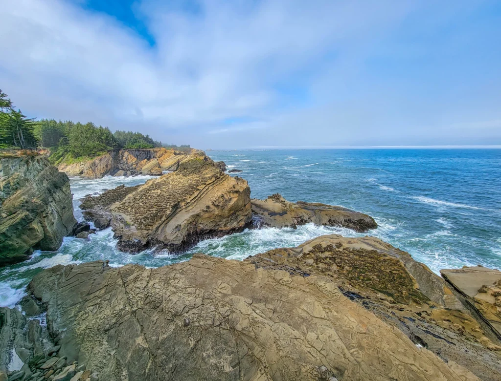 Sandstone cliffs and surf along the Cape Arago Scenic Loop near Coos Bay, Oregon
