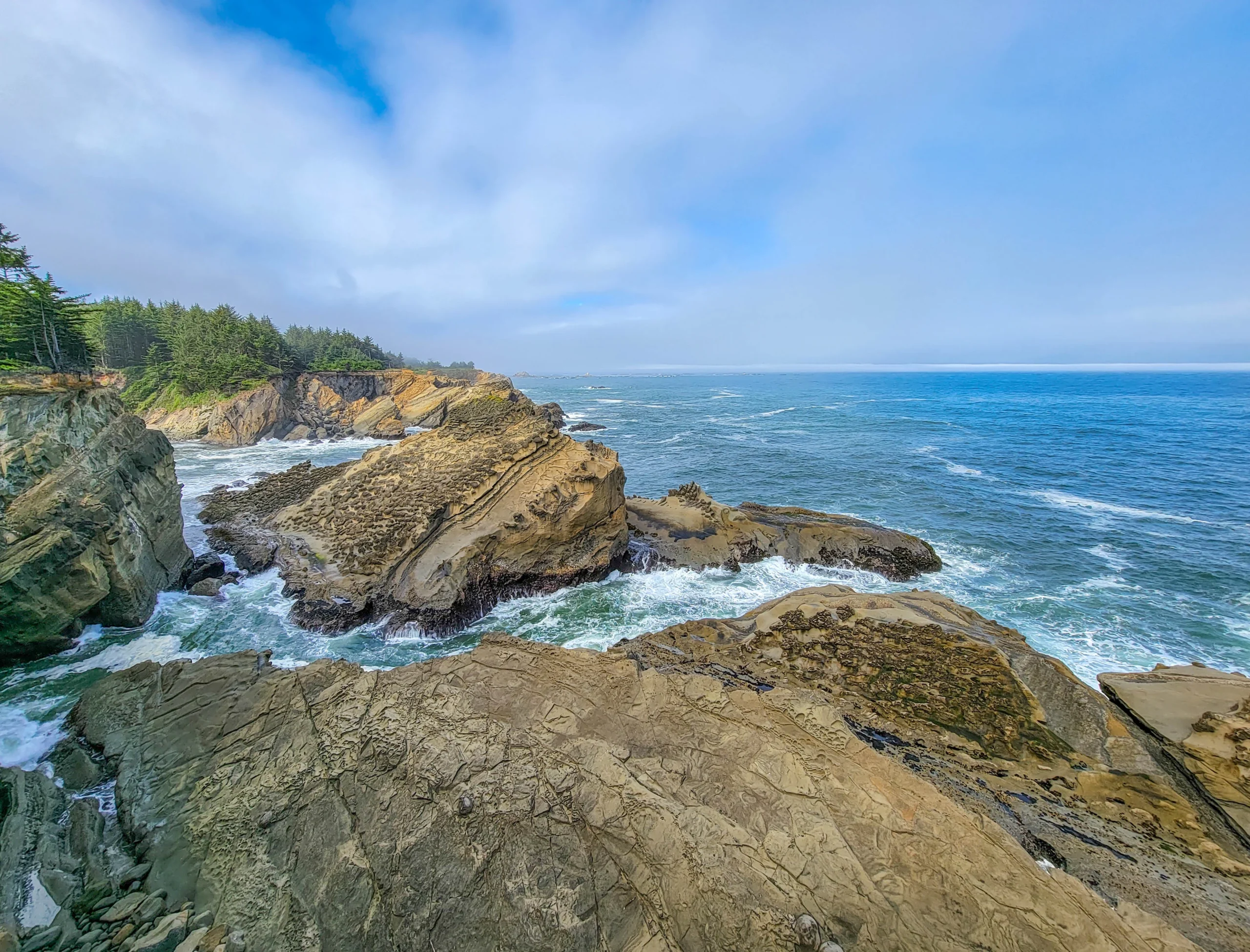 Sandstone cliffs and surf along the Cape Arago Scenic Loop near Coos Bay, Oregon