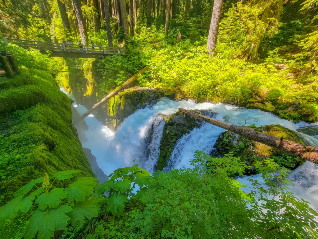 Looking down on Sol Duc Falls from the trail above
