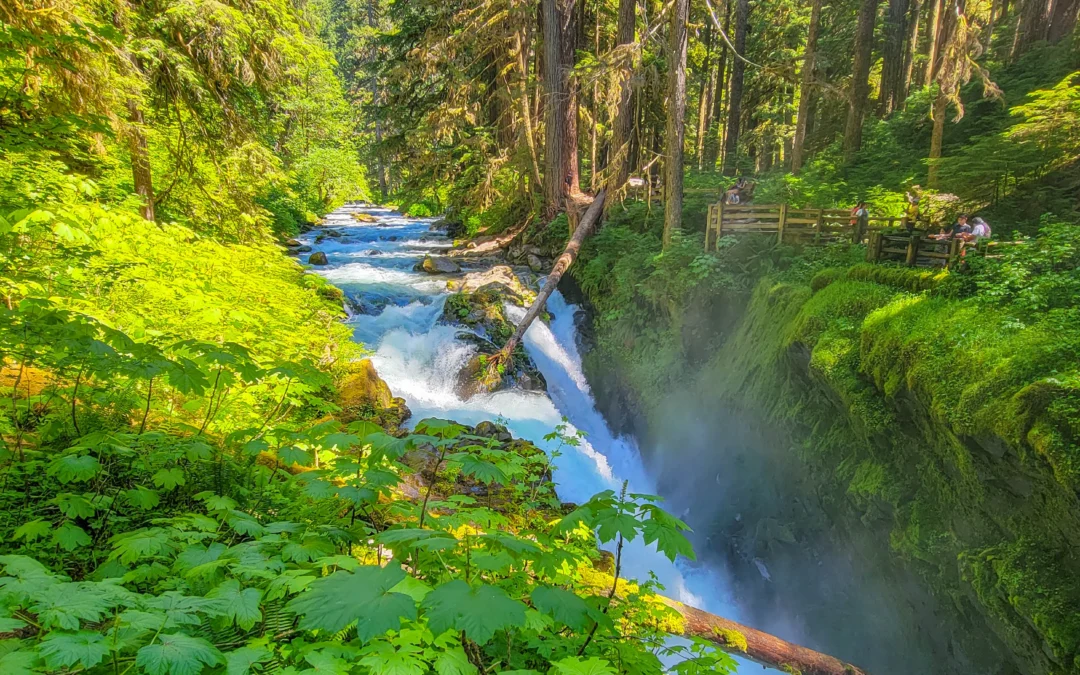 Olympic National Park – Hurricane Ridge & Sol Duc – WA