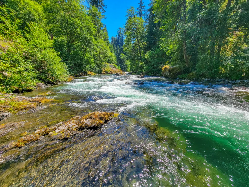 Sol Duc River rapids running over bedrock