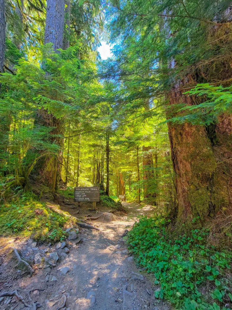 Trail sign at the Soleduck trailhead listing Sol Duc Falls at 0.8 miles