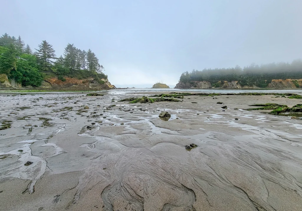 Low tide in the sheltered cove at Sunset Bay State Park, Oregon
