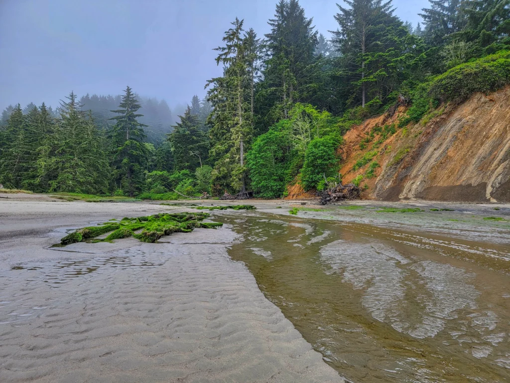 Tide flats and eroded sandstone at Sunset Bay State Park