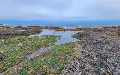 Salt Creek Recreation Area – Port Angeles – Washington