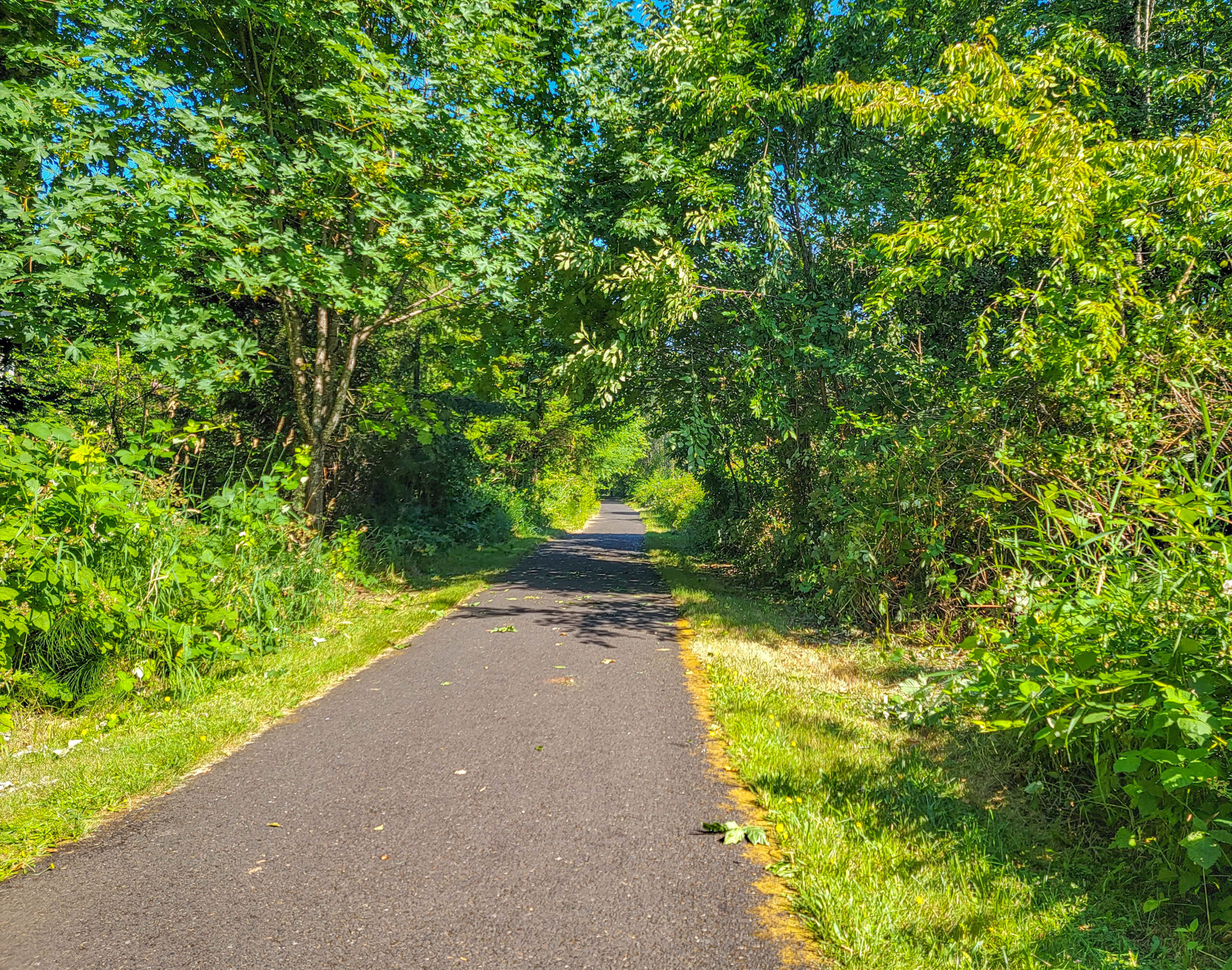 Banks-Vernonia State Trail