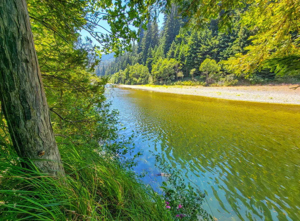 Gravel bar and clear water on the South Fork of the Eel River in Humboldt Redwoods State Park