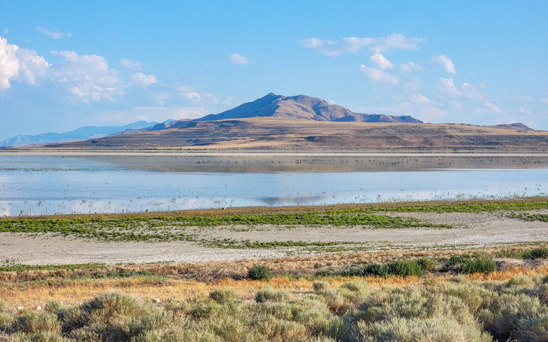 Antelope Island State Park – Salt Lake City – Utah