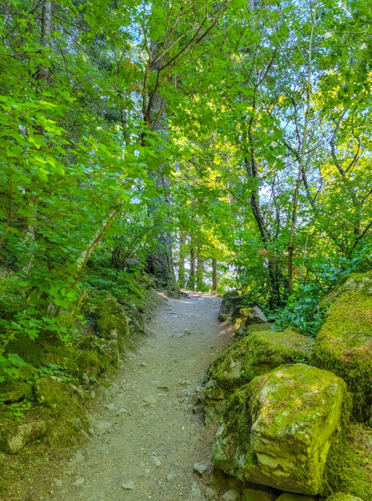 Forest trail among mossy boulders at the base of Beacon Rock