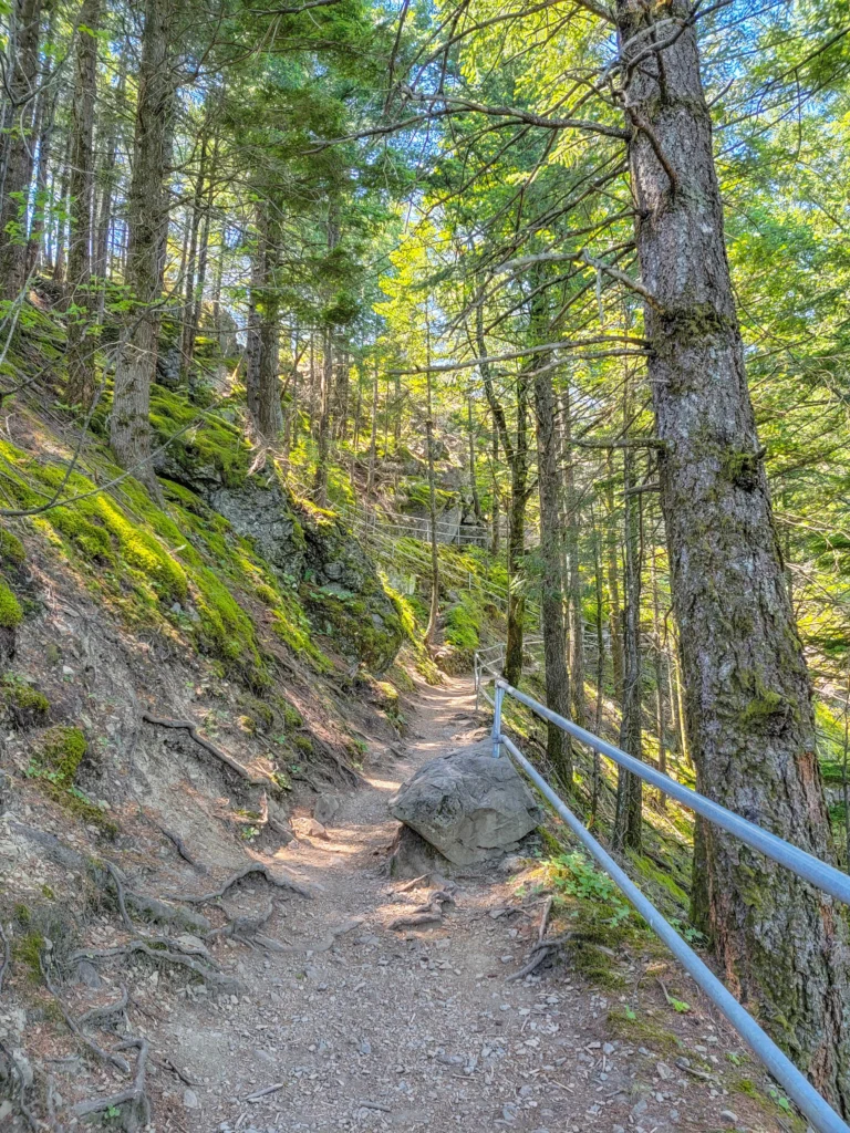 Upper forest section of the Beacon Rock trail with a large boulder
