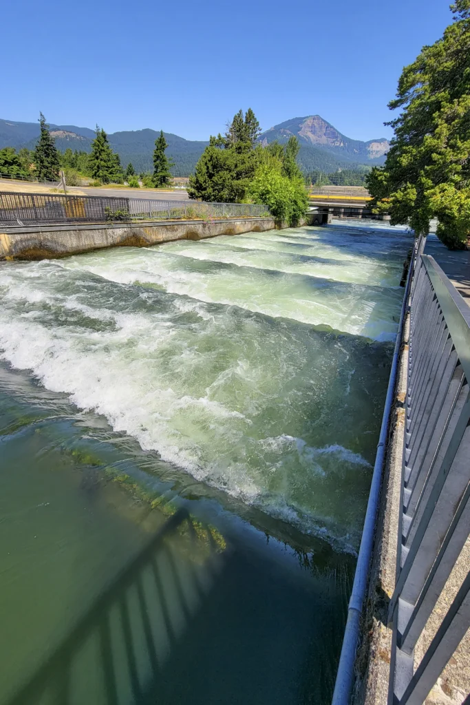 Fish ladder at Bonneville Dam seen from above, with the Columbia River Gorge beyond