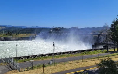 Bonneville Dam Fish Ladder – Columbia Gorge – Oregon