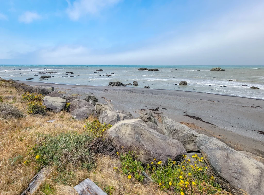 Boulders and wildflowers above the shore on the Lost Coast