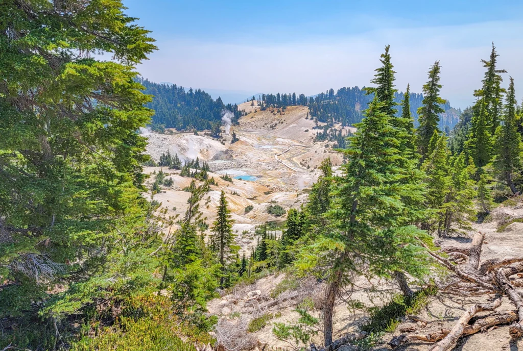 The Bumpass Hell basin seen from the return trail through conifers