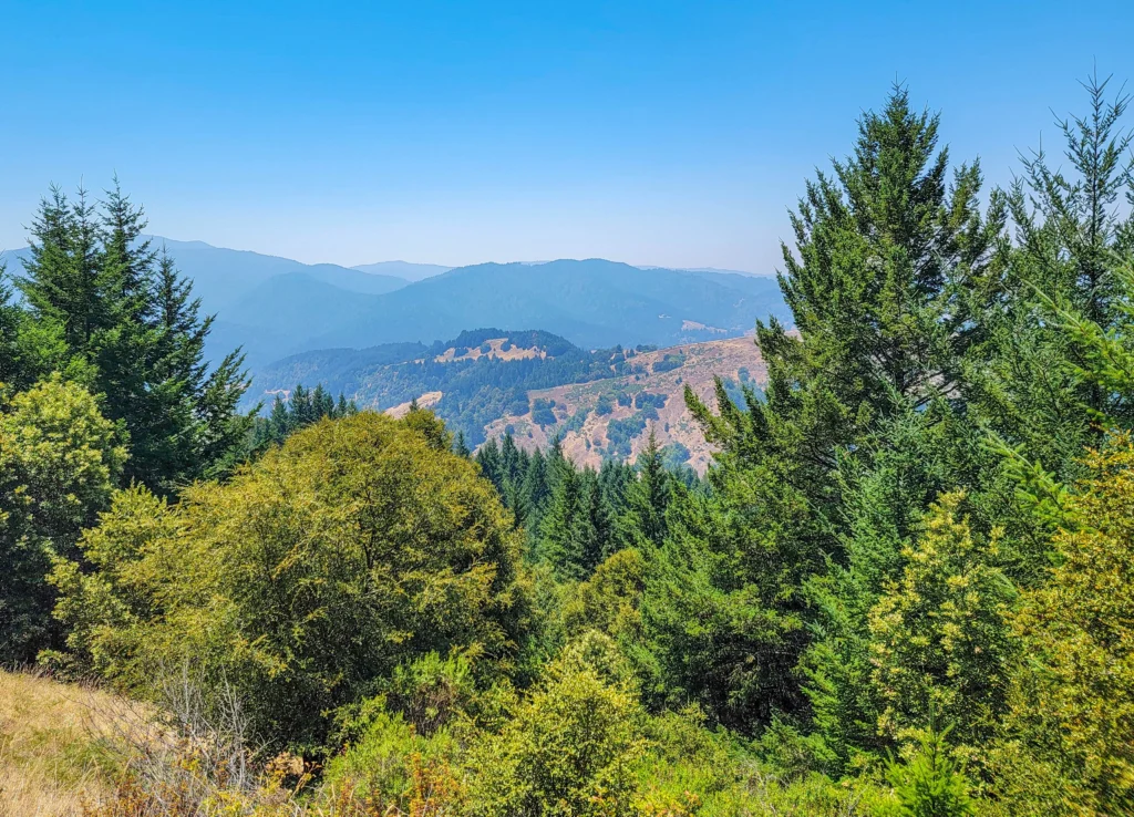 Forested ridges of the King Range fading into summer haze