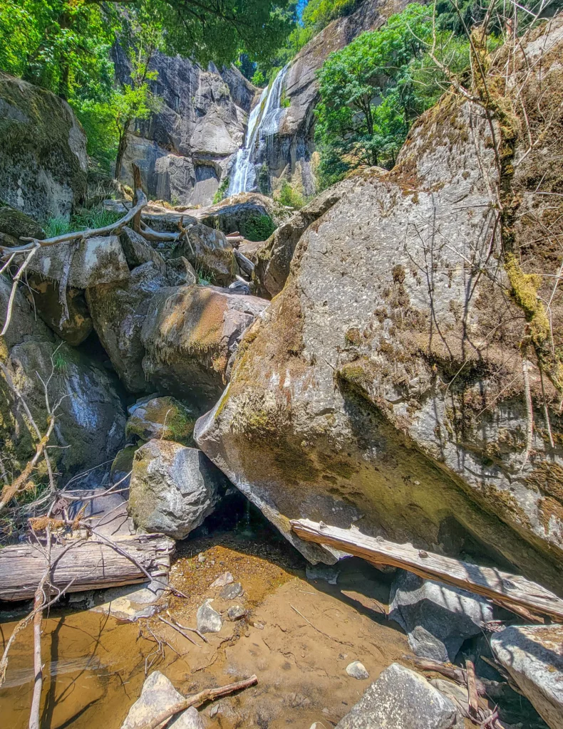 Boulders and fallen logs below Golden Falls