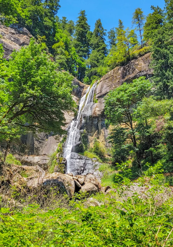 Golden Falls seen through the trees from the approach trail