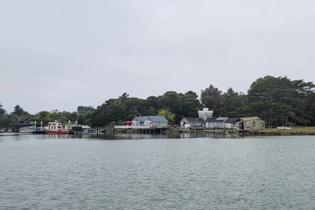 Homes and boats along the Humboldt Bay shoreline