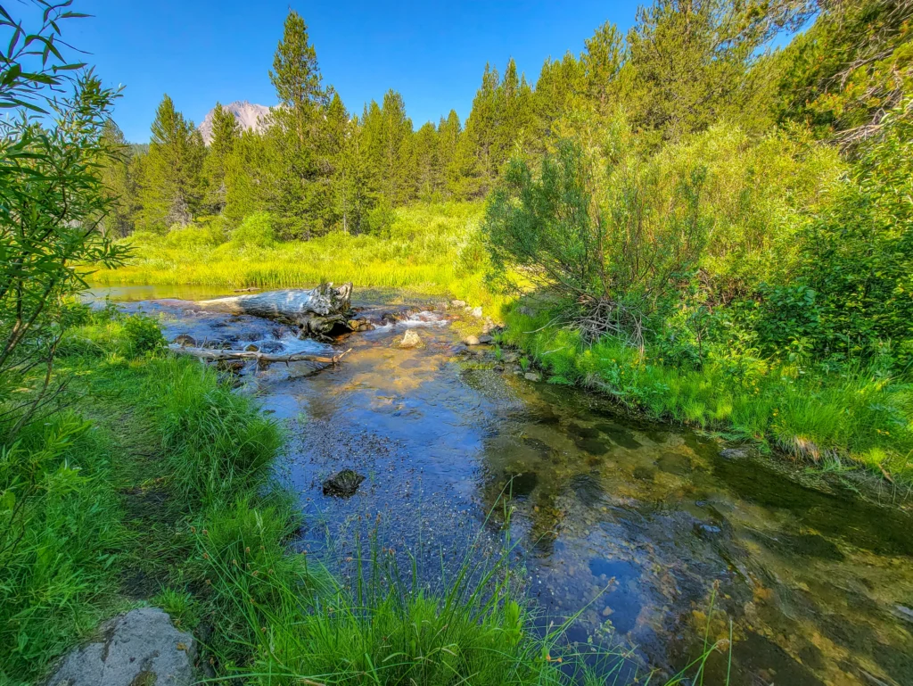 Clear shallow water of Kings Creek with Lassen Peak in the distance