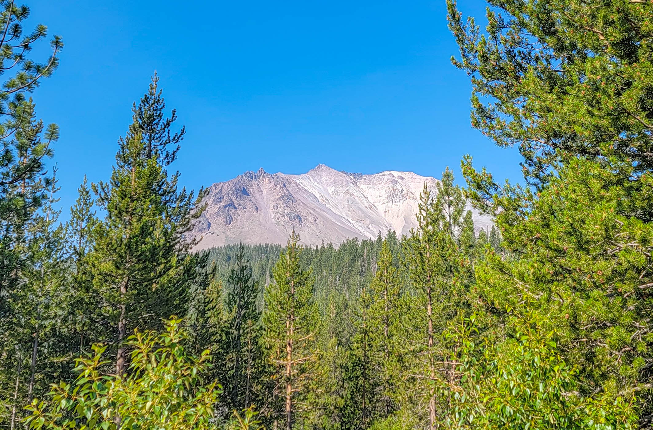 Lassen Peak seen through lodgepole pines in Lassen Volcanic National Park, California Lassen Peak seen through lodgepole pines in Lassen Volcanic National Park, California